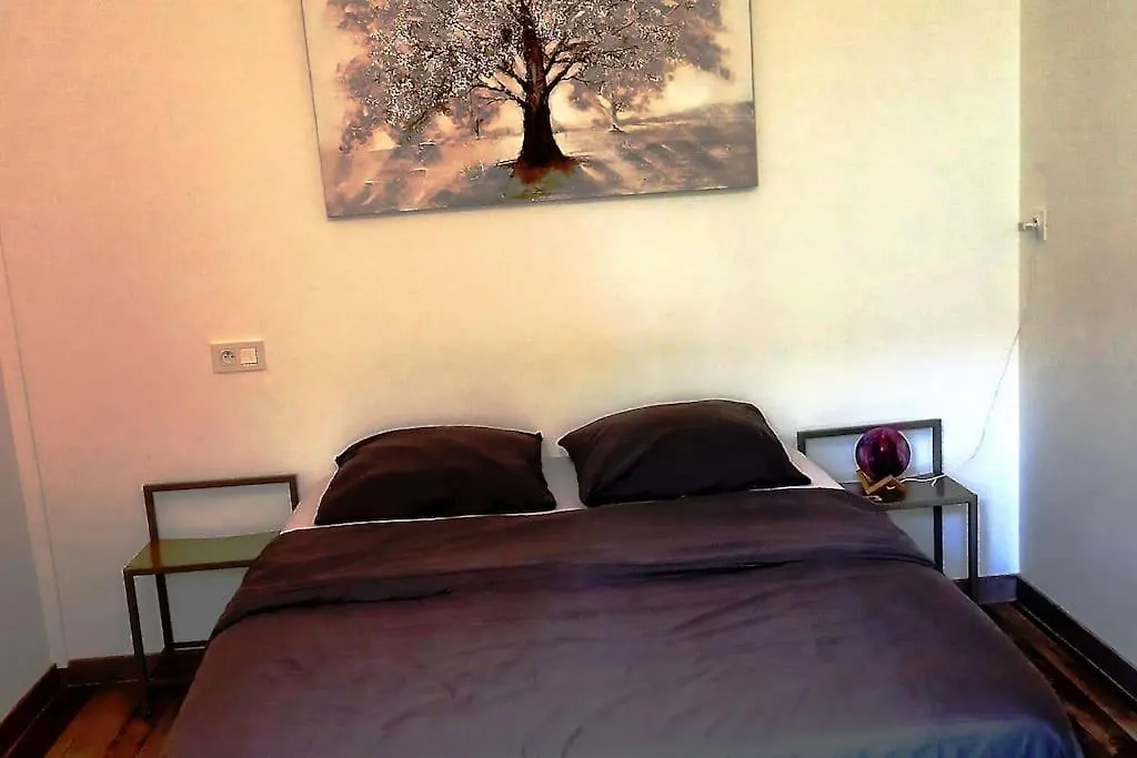 Moissac Charmant Appartement Avec Jardin