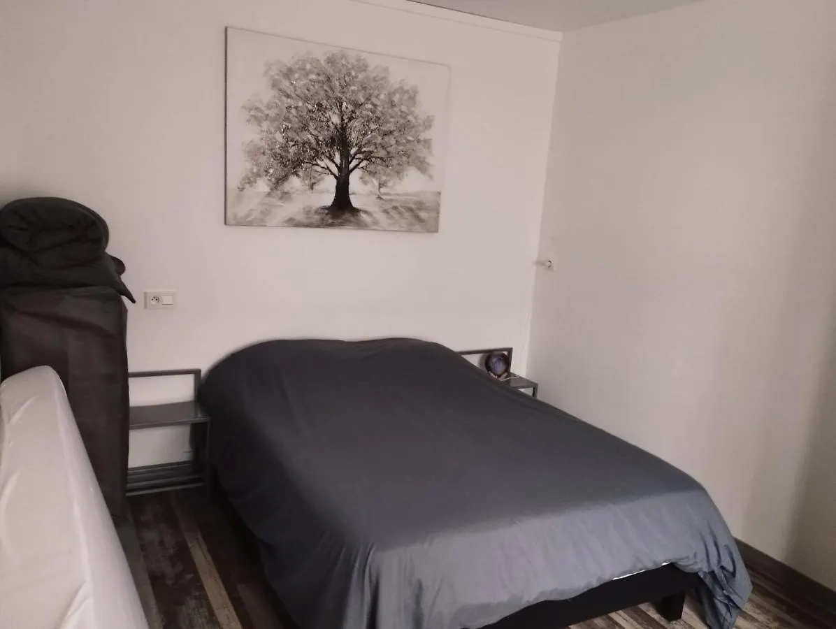 Moissac Charmant Appartement Avec Jardin Apartament